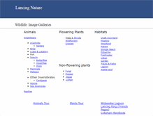 Tablet Screenshot of lancing-nature.bn15.net